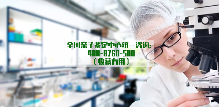 亲子鉴定