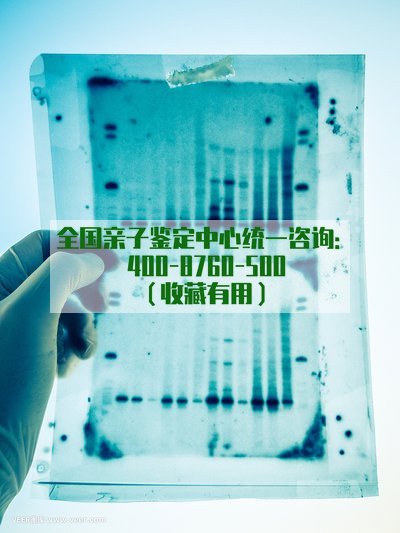 t011015638030847d0d.jpg